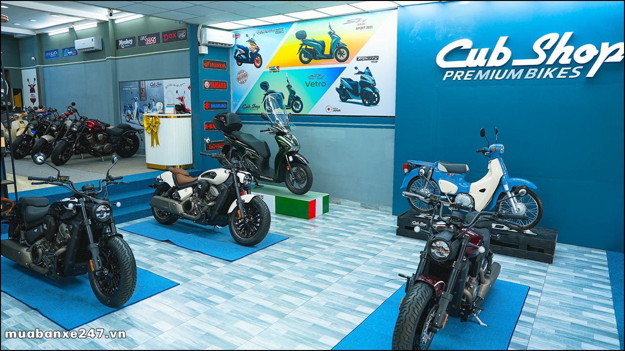 Benda Viet Nam Showroom chinh hang 1