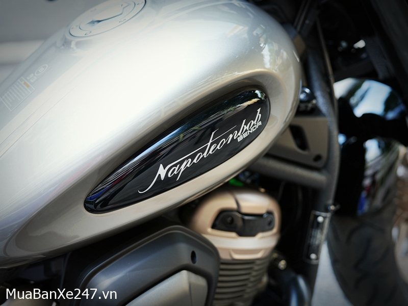 Benda Napoleon 500 Bobber 14 benda-napoleon-500-bobber