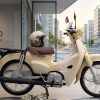 honda-super-cub-50